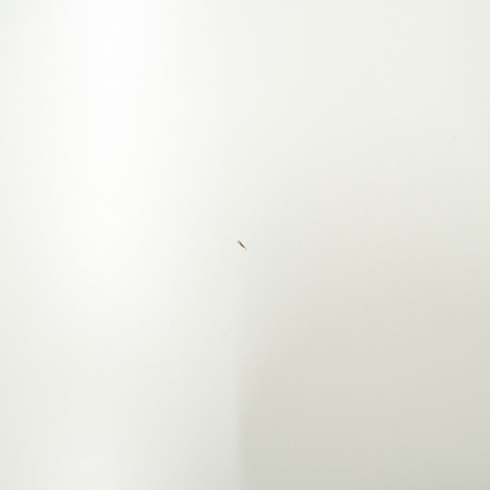 FRITZ HANSEN / ANALOG / フリッツ・ハンセン