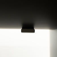 Minotti / LINHA / ミノッティ