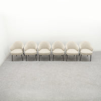 Minotti / WEDGE dining chiar 6脚セット / ミノッティ