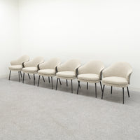 Minotti / WEDGE dining chiar 6脚セット / ミノッティ