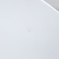 FLOS / Taccia
