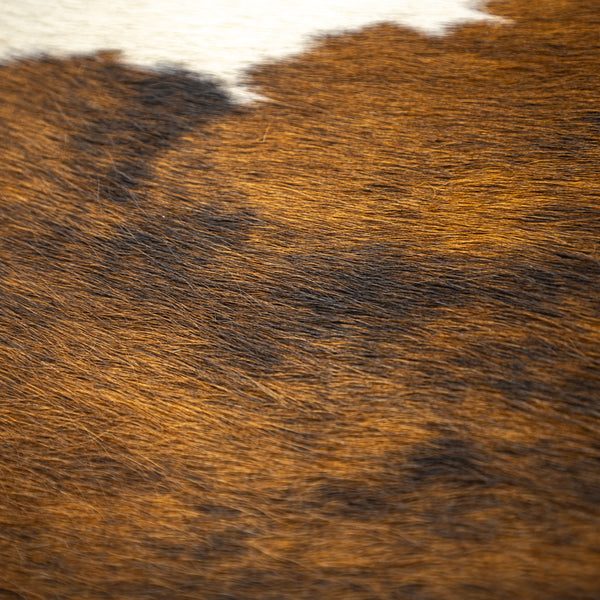 Cassina / 4 CHAISE LONGUE À RÉGLAGE CONTINU, DURABLE