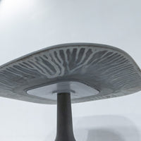 B&B ITALIA / PUSHPAM
