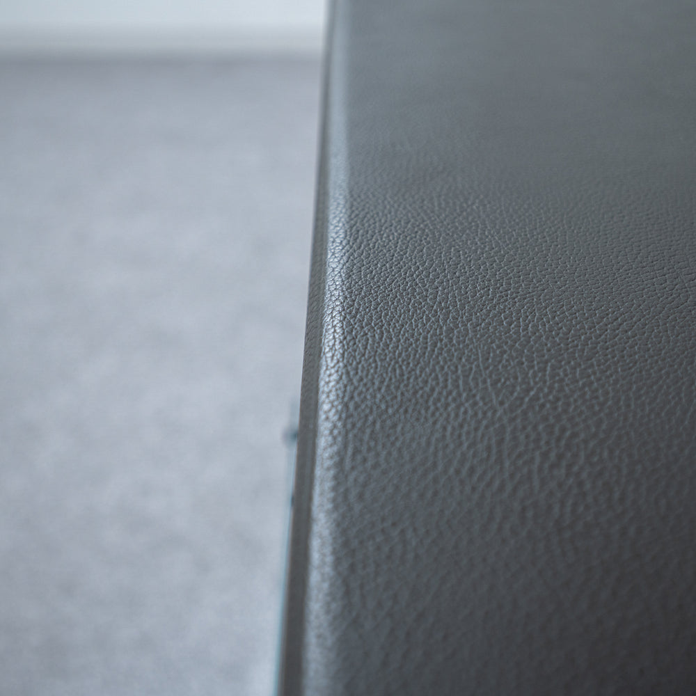 EcoSmart Fire / Aspect Leather