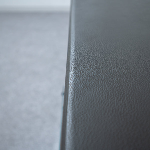 EcoSmart Fire / Aspect Leather