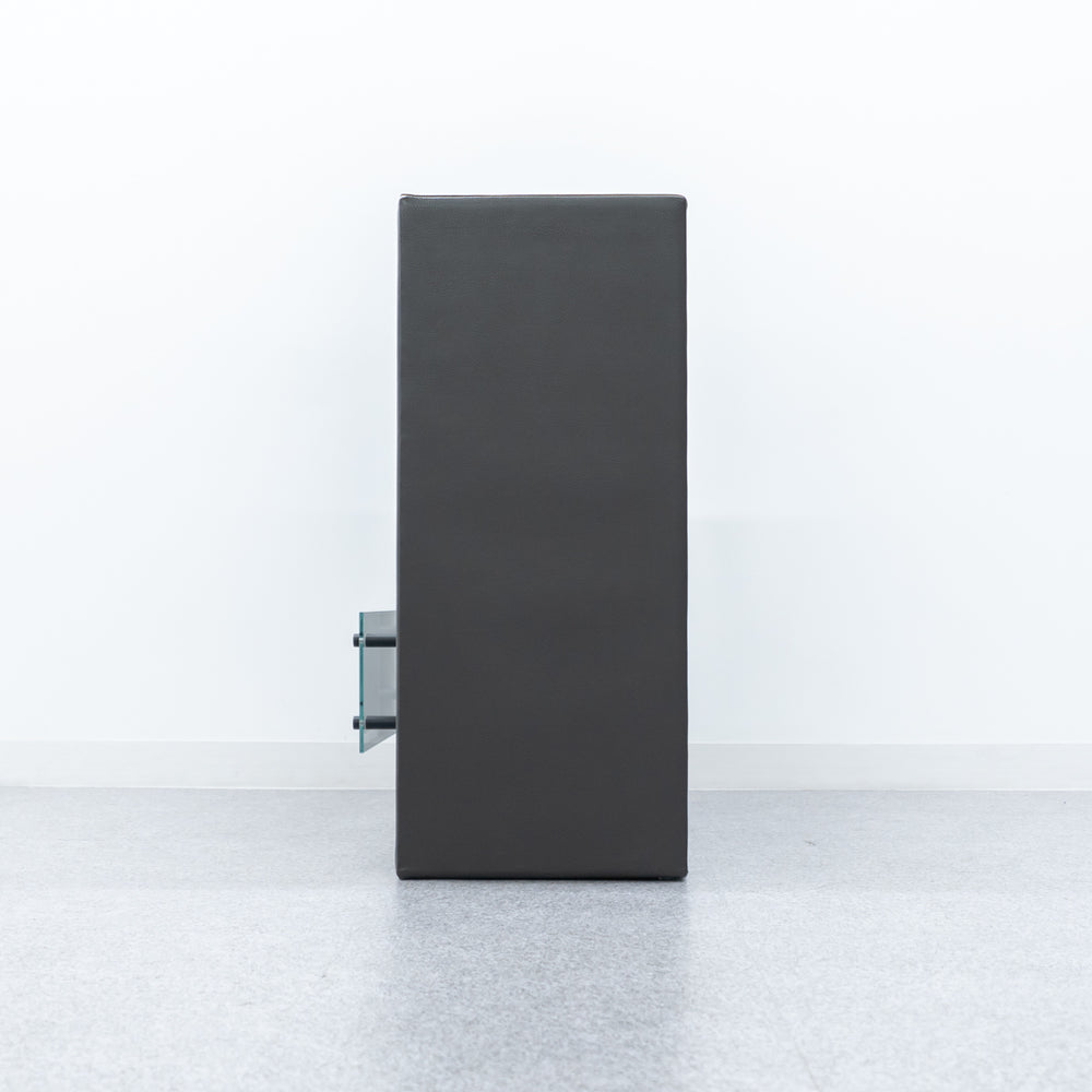 EcoSmart Fire / Aspect Leather