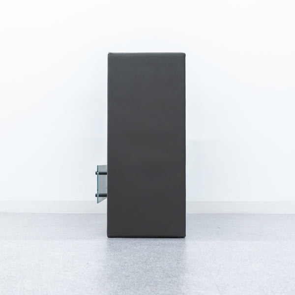 EcoSmart Fire / Aspect Leather