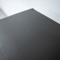 EcoSmart Fire / Aspect Leather