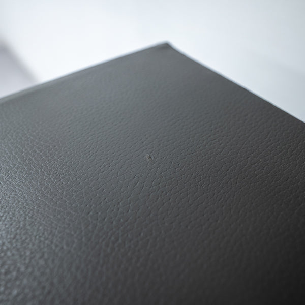 EcoSmart Fire / Aspect Leather