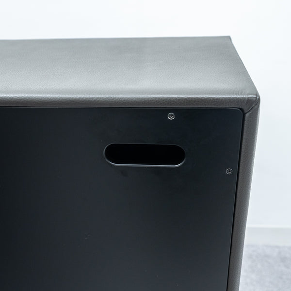 EcoSmart Fire / Aspect Leather