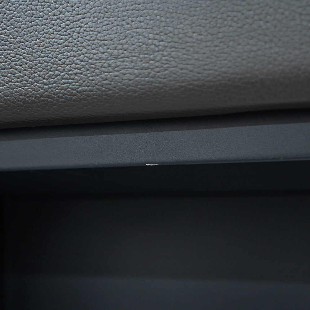 EcoSmart Fire / Aspect Leather