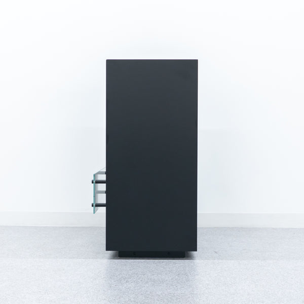 EcoSmart Fire / Fusion