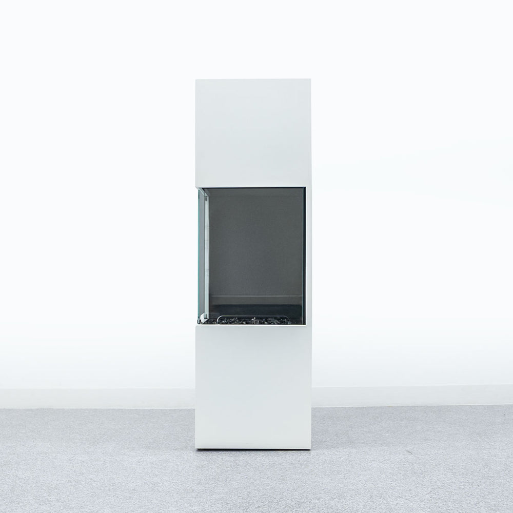 EcoSmart Fire / Be 3