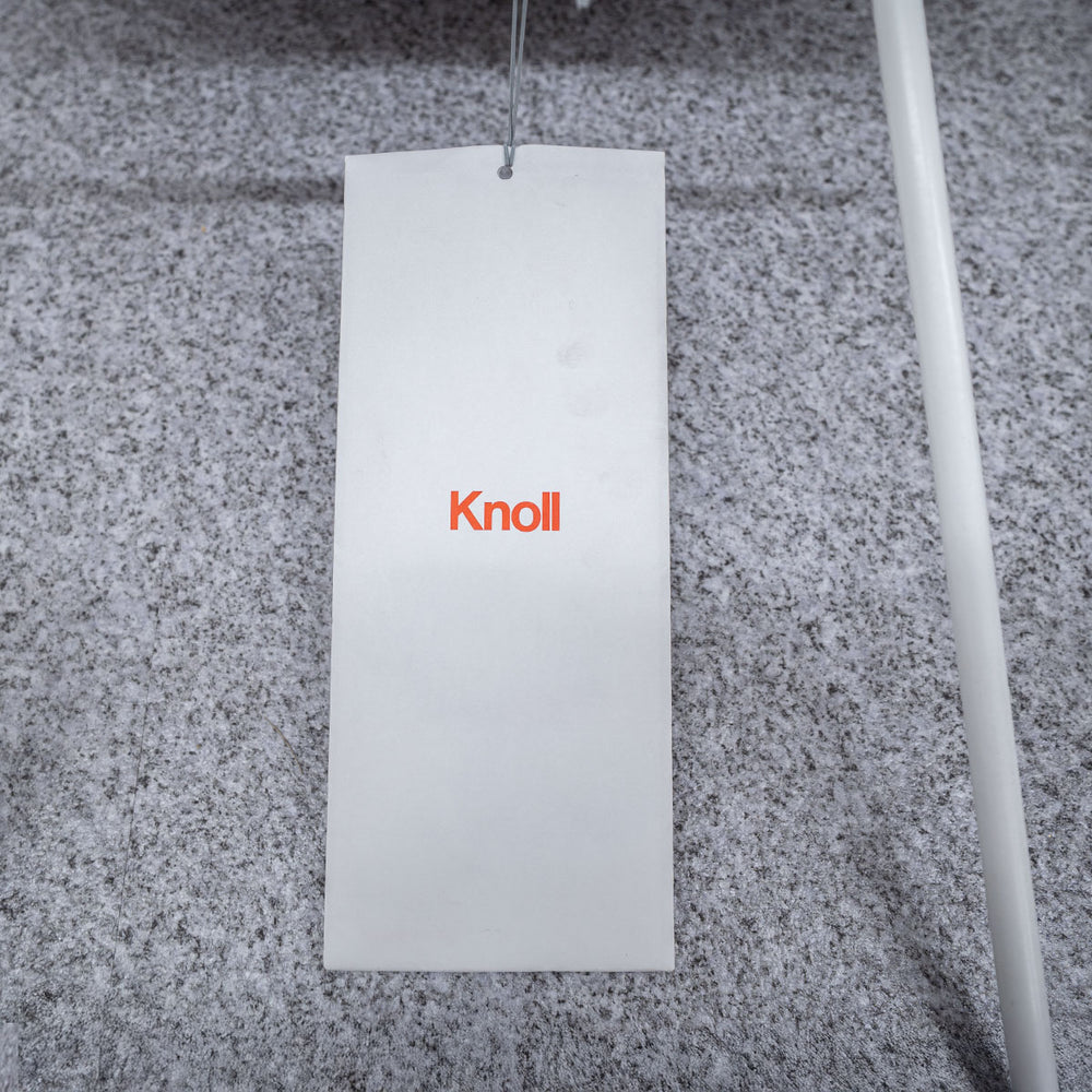 【展示品】Knoll / Bertoia  Plastic Side Chair / ノル