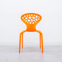 【展示品】MOROSO / SUPERNATURAL / モローゾ