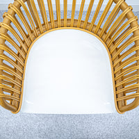 MAGIS / CYBORG WICKER CLUB